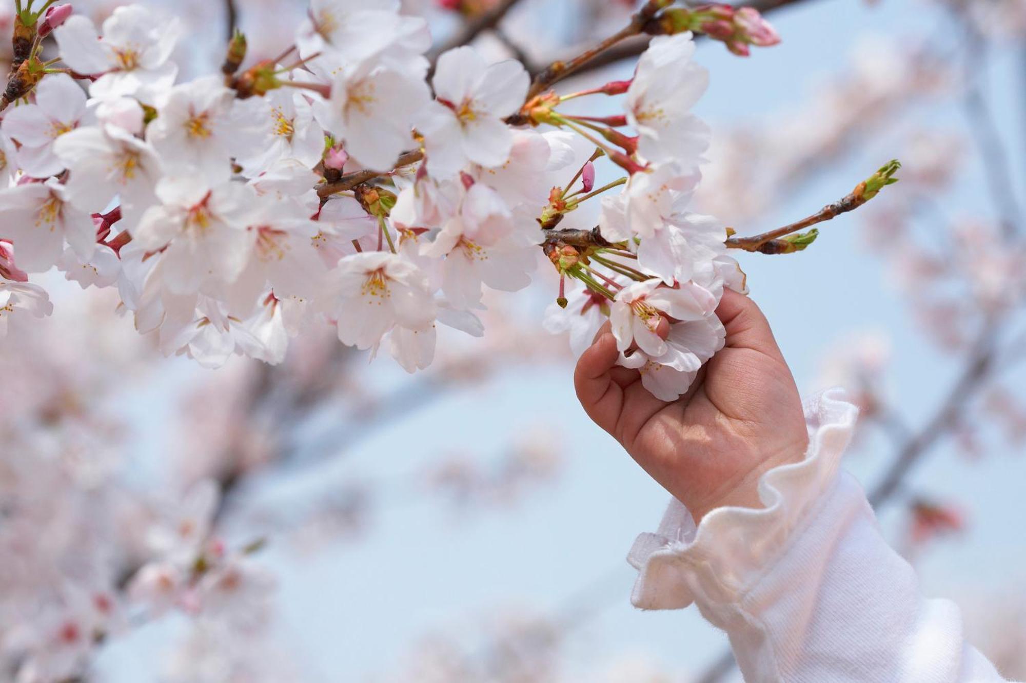 Grand Mercure Minamiboso Resort & Spa エクステリア 写真