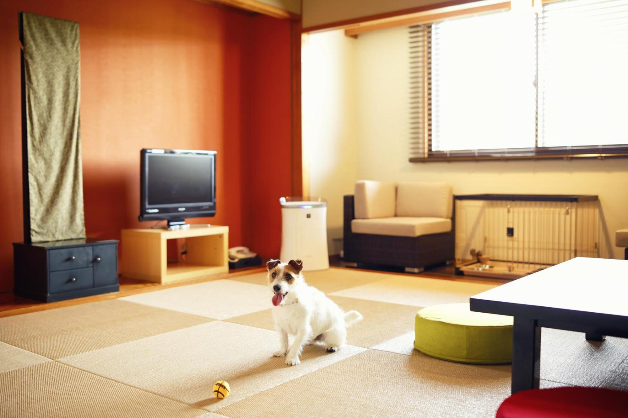 Grand Mercure Minamiboso Resort & Spa エクステリア 写真